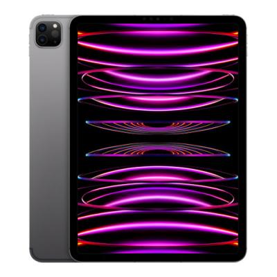 Apple iPad Pro 11 4th Gen (2022)