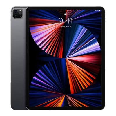 Apple iPad Pro 12.9 5th Gen (2021)