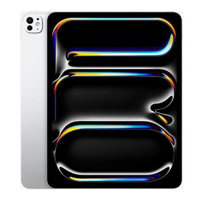 Apple iPad Pro 13 M4 Standard Glass (2024)