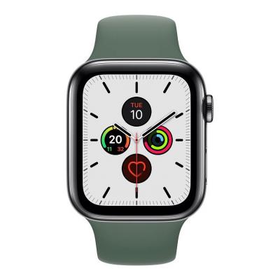 Apple Watch Series 5 40mm Stainless Steel