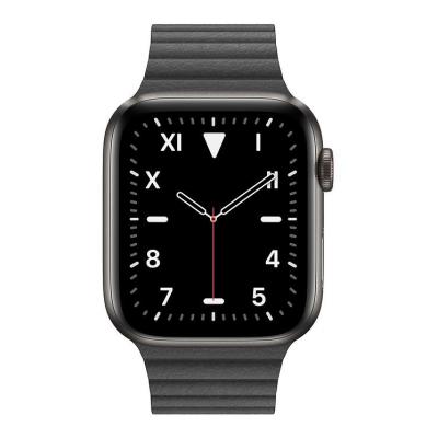 Apple Watch Series 5 44mm Titanium